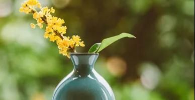 深秋桂花香，酥薄月飄香不僅在中秋