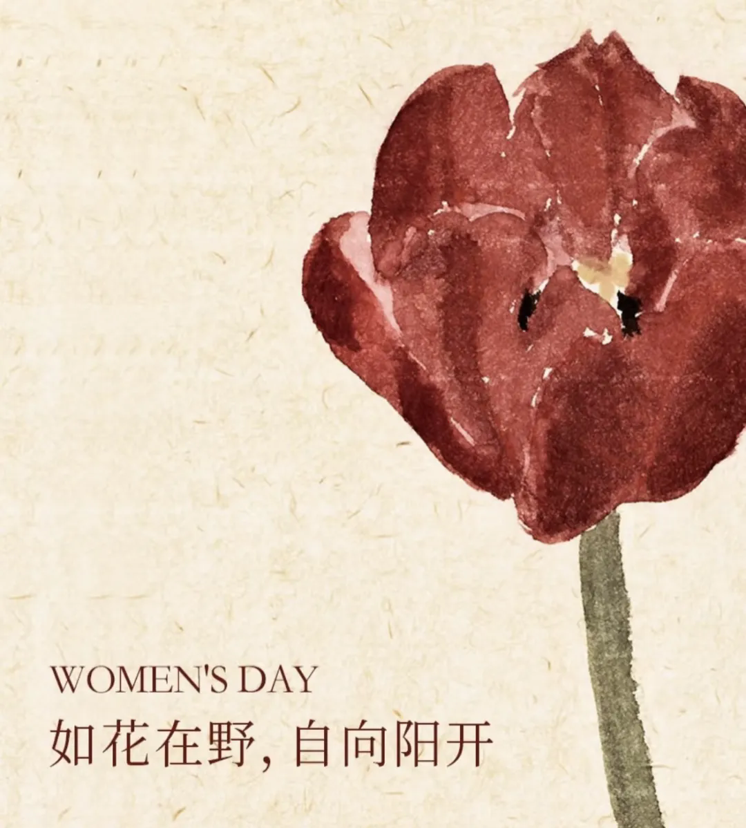 3·8女神節(jié)丨 南北特糕點(diǎn)，獻(xiàn)給每一位甜蜜女神