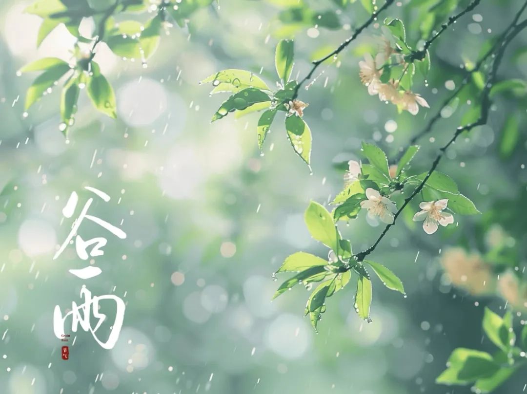 谷雨潤萬物，酥香寄深情